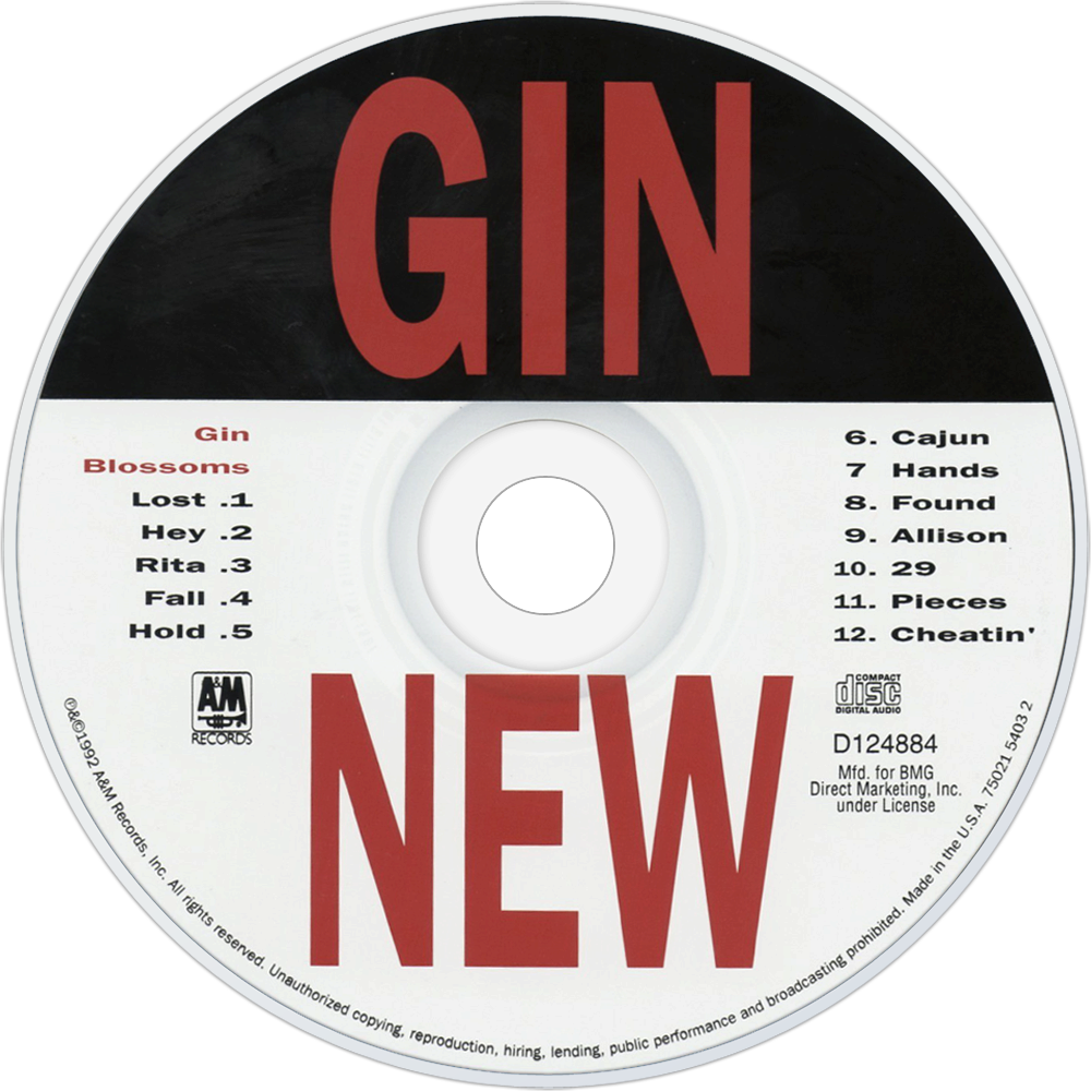 download new miserable experience gin blossoms rar